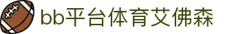 中国·BB贝博艾弗森(股份)有限公司-官方网站